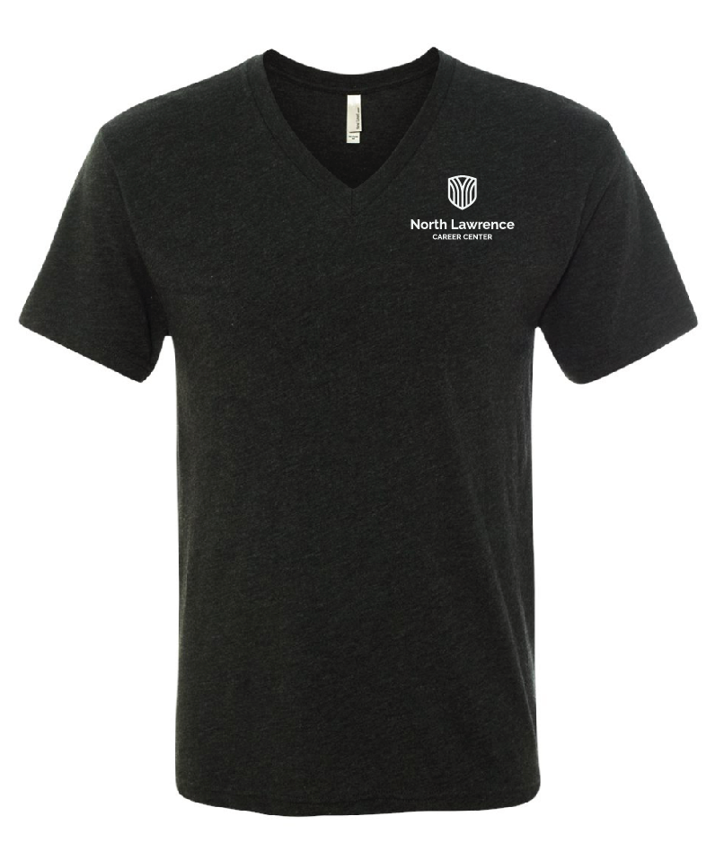 Next Level - Unisex Triblend V-Neck T-Shirt - 6040